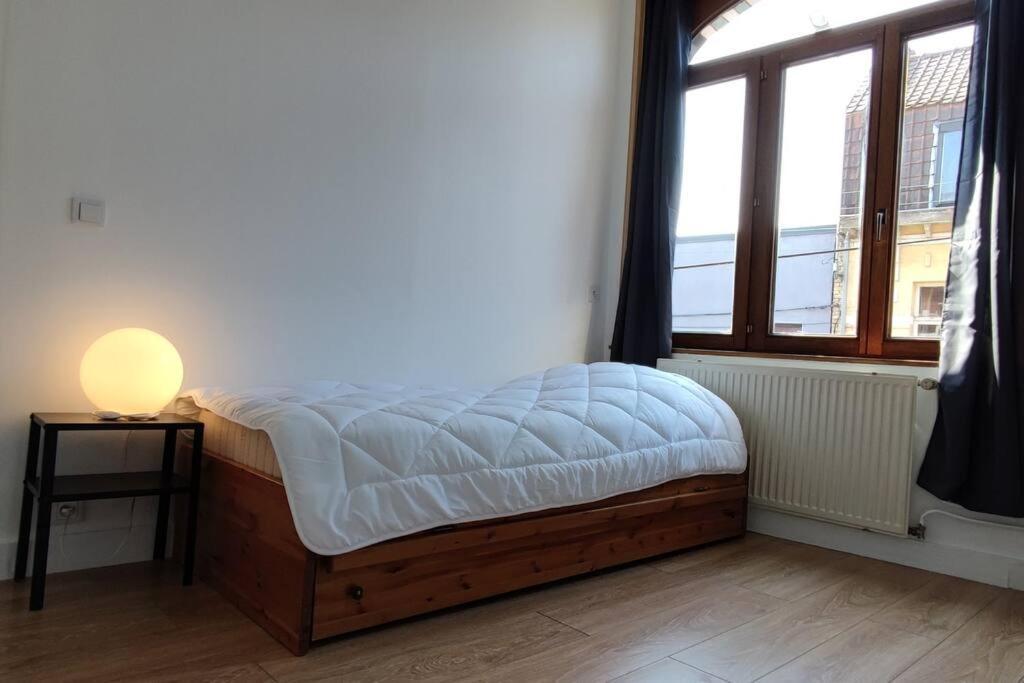 Maison Ronchin/Lille - Proche Toutes Commodites מראה חיצוני תמונה