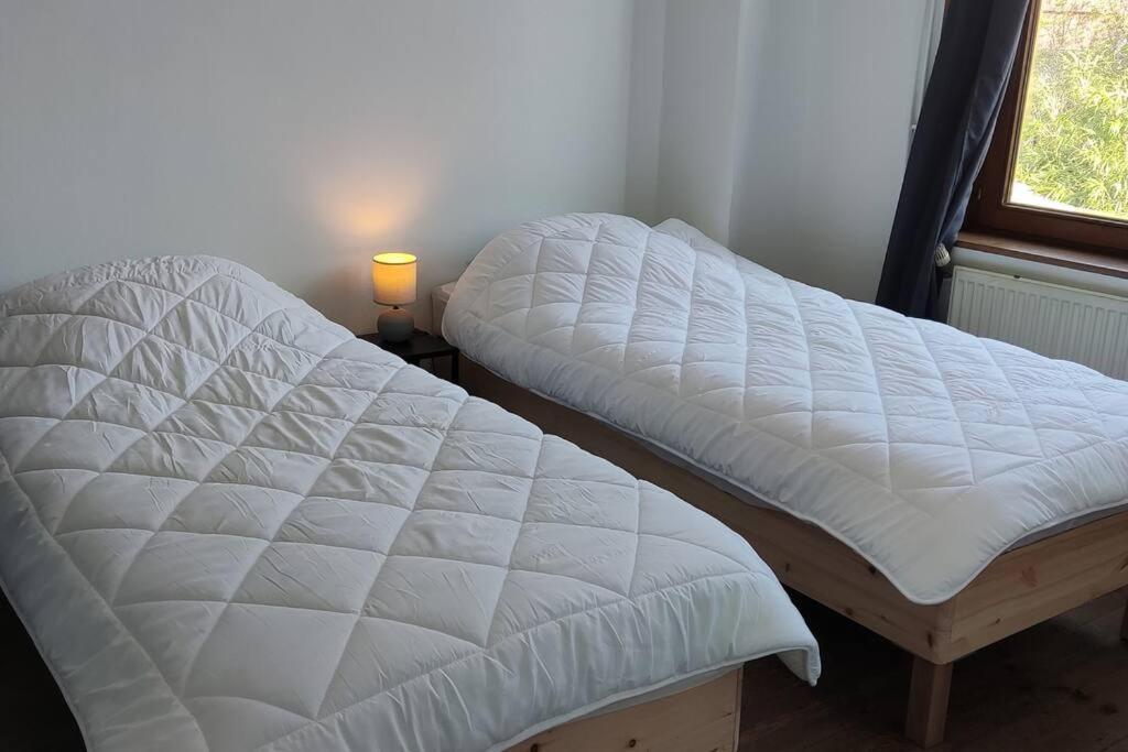 Maison Ronchin/Lille - Proche Toutes Commodites מראה חיצוני תמונה